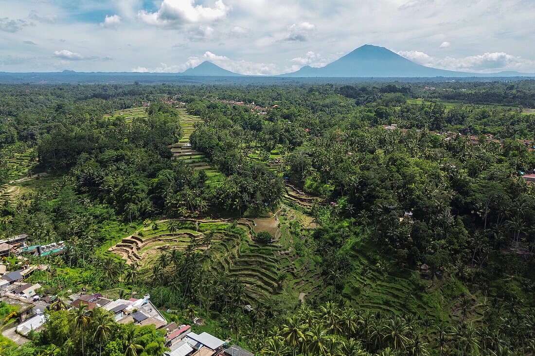 Luftaufnahme der Tegallalang-Reisterrasse mit Bergen in der Ferne, Tegallalang, Gianyar, Bali, Indonesien, Slüdostasien