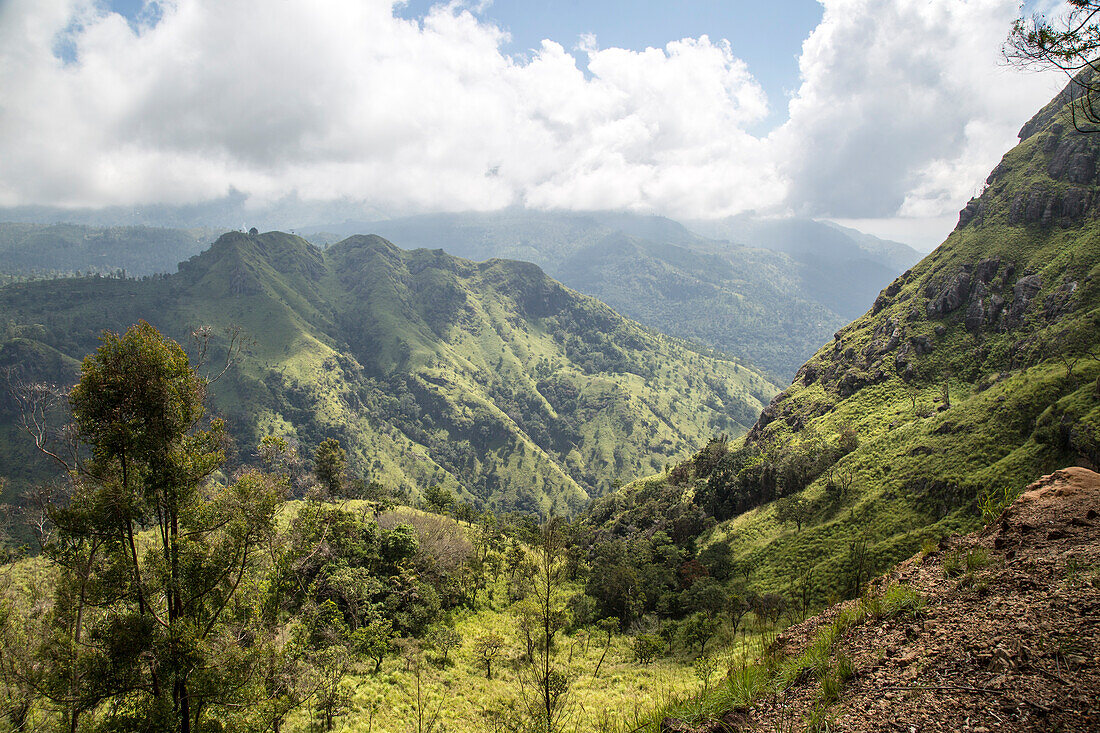 Blick auf den Ella Gap Pass, Ella, Badulla District, Provinz Uva, Sri Lanka, Asien
