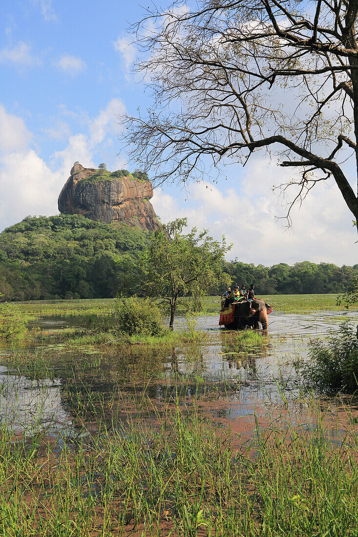 Elefantenritt im See beim Felsenpalast, Sigiriya, Zentralprovinz, Sri Lanka, Asien