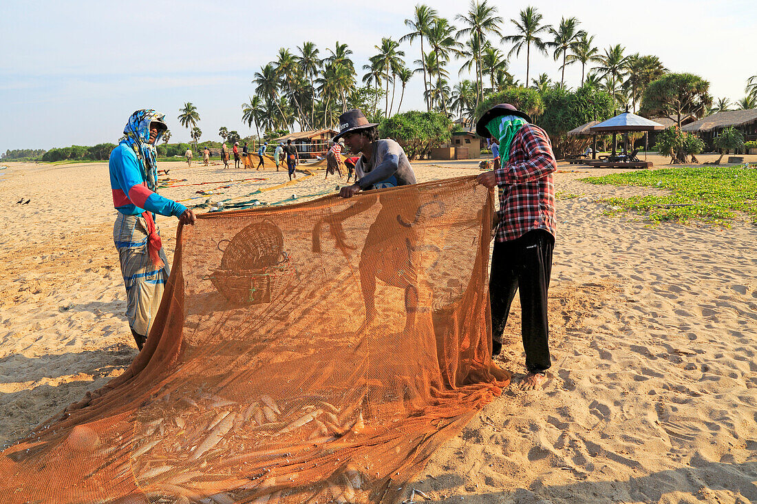 Traditioneller Fischfang, Netze schleppen, Nilavelli Beach, in der Nähe von Trincomalee, Ostprovinz, Sri Lanka, Asien