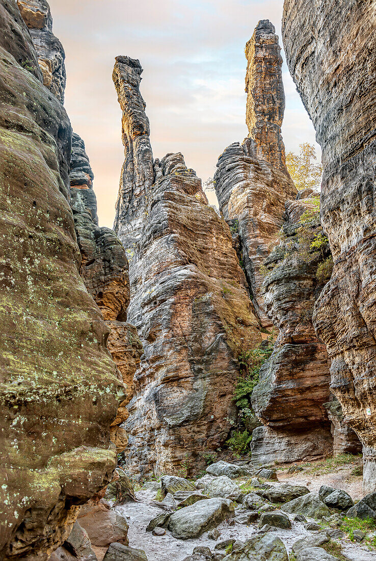 Herkulessäulen im Bielatal, Sächsische Schweiz, Sachsen, Deutschland