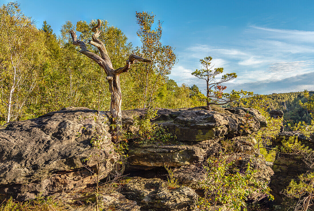 Aussicht von Kaiser-Wilhelm-Feste bei den Herkulessäulen auf das  Bielatal, Sächsische Schweiz, Sachsen, Deutschland