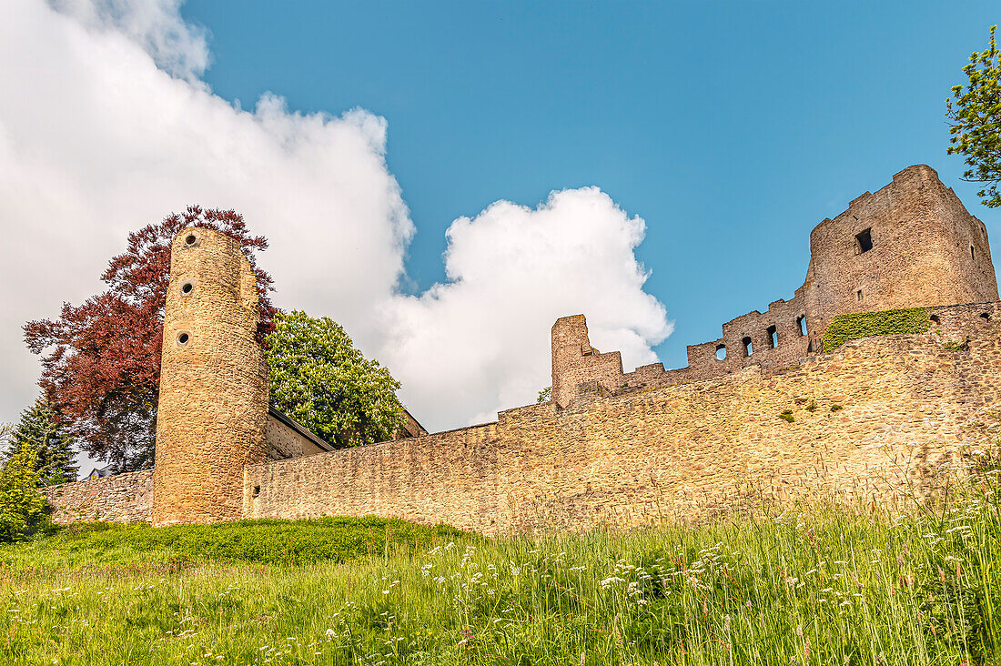  View of the castle ruins of Frauenstein in the town of the same name, Saxony, Germany 