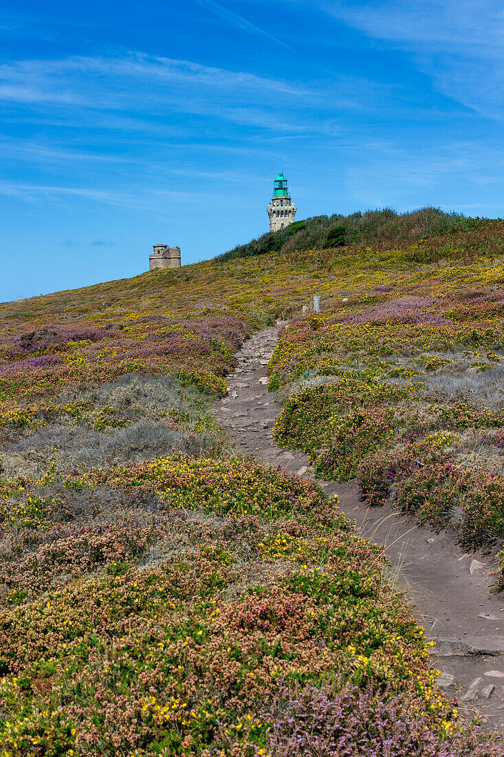 Cap Fréhel, Plévenon, Côtes-d'Armor, Frankreich