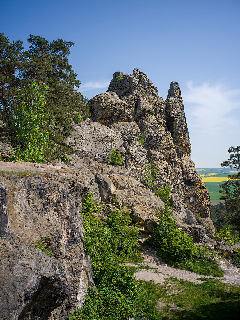  Hamburg coat of arms - part of the Devil&#39;s Wall between Blankenburg and Timmenrode in the Harz Mountains, Harz, Harz district, Saxony-Anhalt, Germany, Europe 