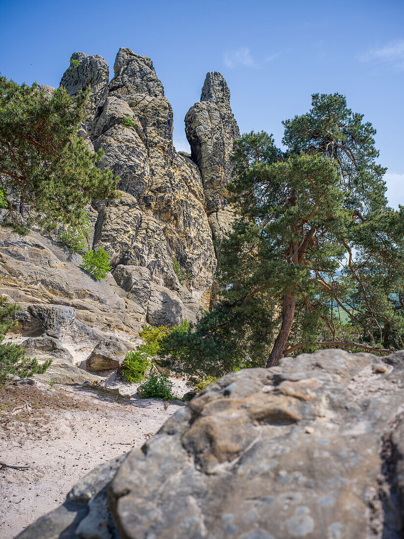 Hamburger Wappen - Teil der Teufelsmauer zwischen Blankenburg und Timmenrode im Harz, Harz, Landkreis Harz, Sachsen-Anhalt, Deutschland, Europa