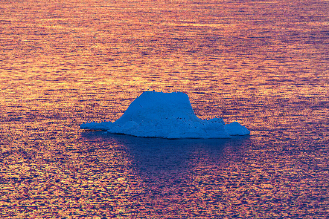  Iceberg in the evening light, Kangia Icefjord, UNESCO World Heritage Site, Disko Bay, West Greenland, Greenland 