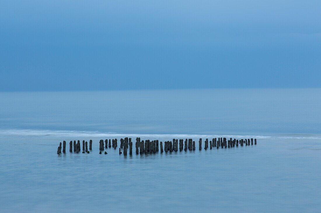  Old groynes near Rantum, Sylt, Schleswig-Holstein, Germany 