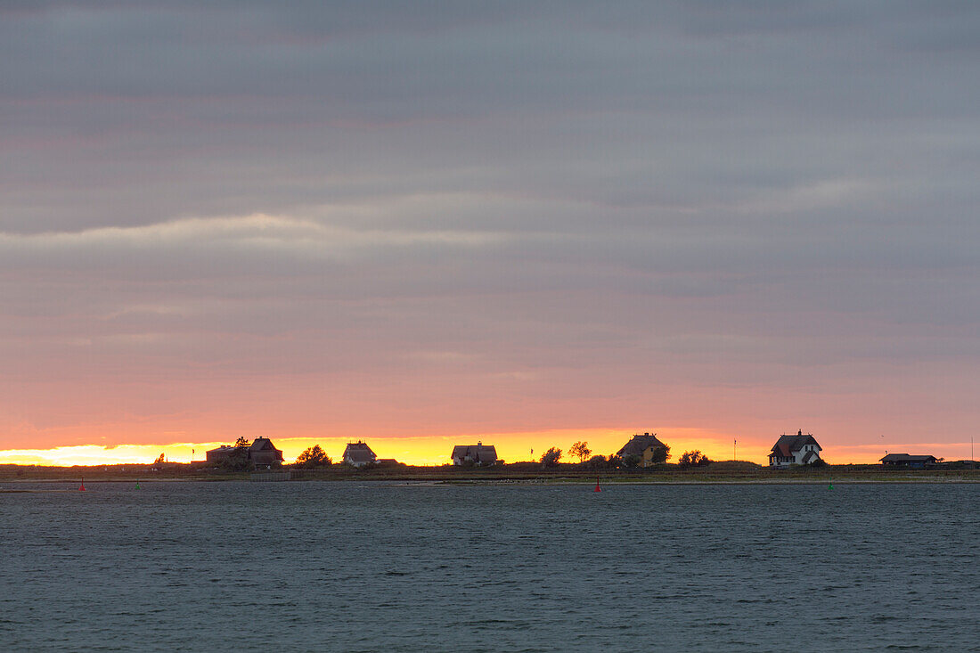 Häuser am Graswarder an der Ostsee im Sonnenuntergang, Schleswig-Holstein, Deutschland