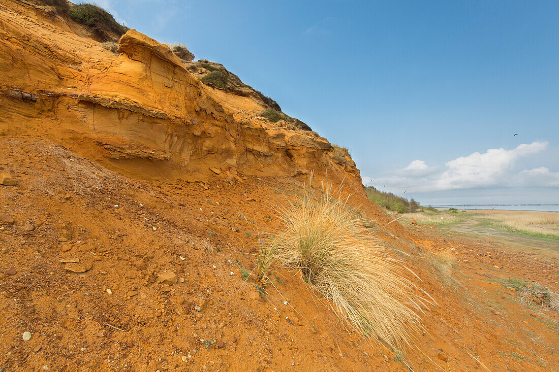  Morsum Cliff near Morsum on Sylt, Schleswig-Holstein, Germany 