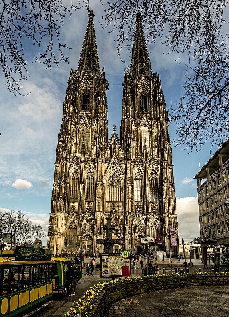  Cologne tram and cathedral in the evening light, Cologne, NRW, Germany 