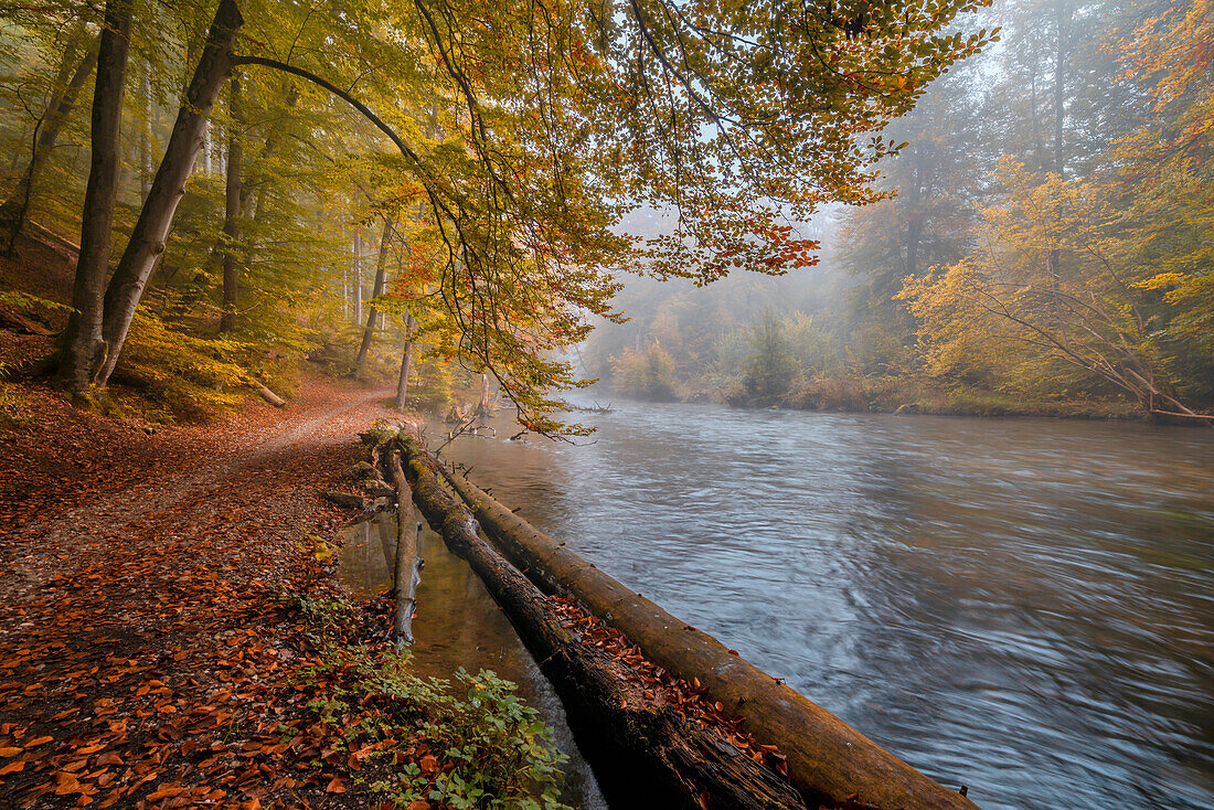  Autumn on the Würm, Leutstetten, Bavaria, Germany 