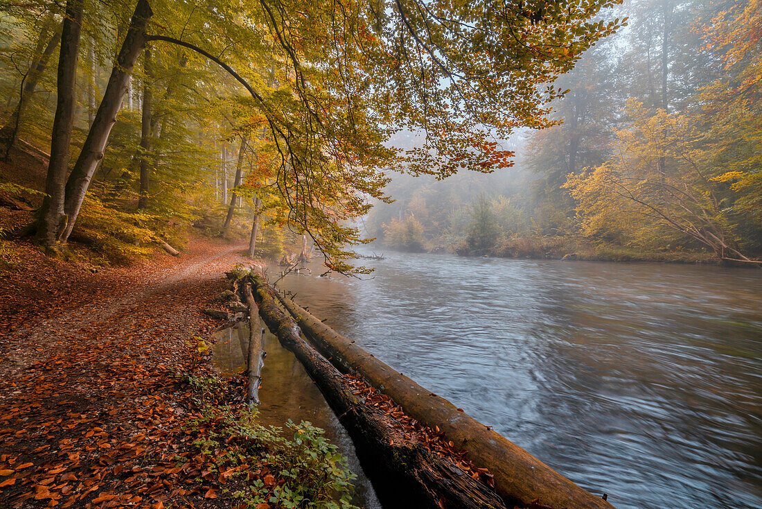 Herbst an der Würm, Leutstetten, Bayern, Deutschland