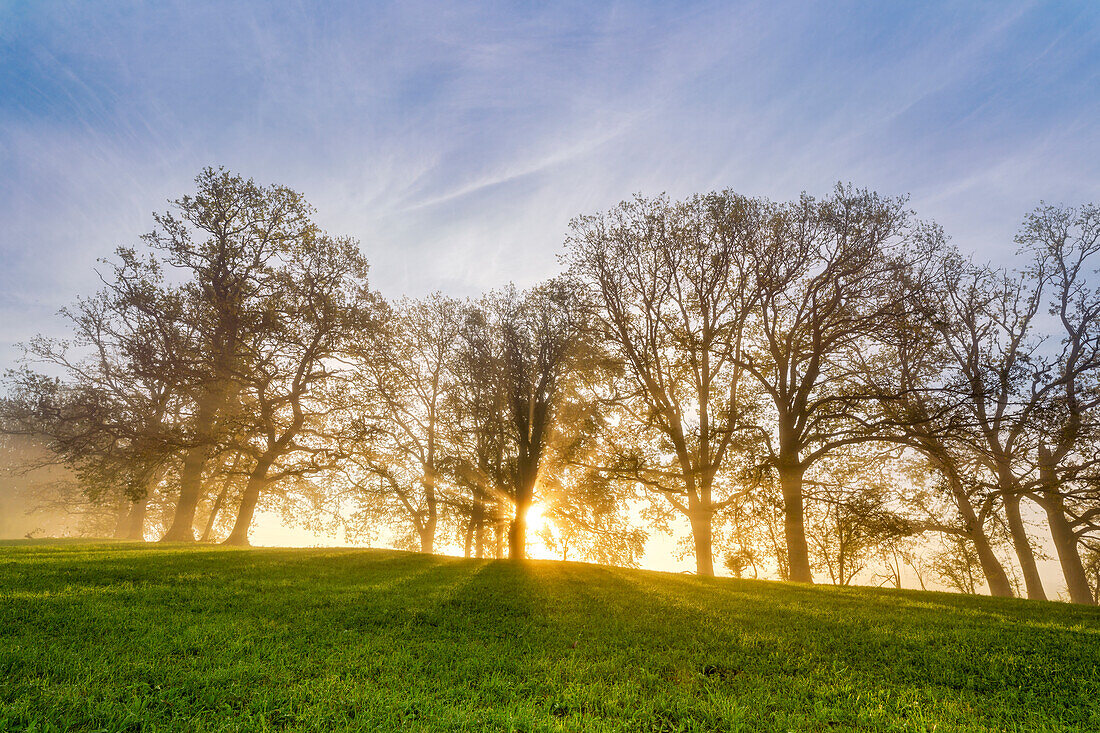 Sonnenaufgang in der Nähe von Habach, Oberbayern, Bayern, Deutschland