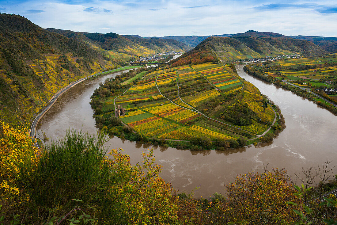  Autumnal colored vineyards and Moselle loop, Bremm, Mosel, Rhineland-Palatinate, Germany 