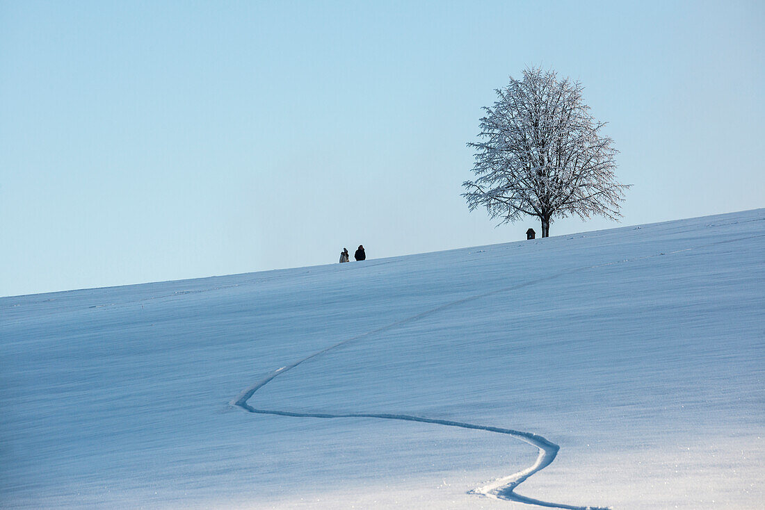 verschneite Landschaft, St Peter, Schwarzwald, Baden-Württemberg, Deutschland