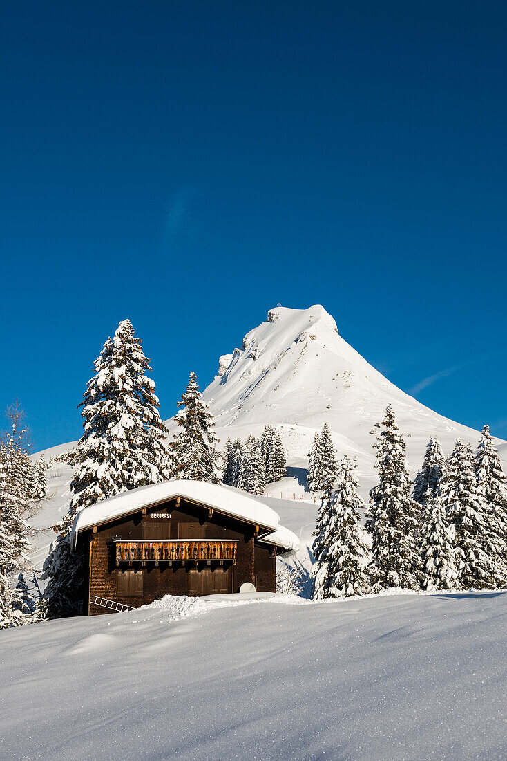 Verschneite Berge und Berghütte, Damülser Mittagspitze, Damüls, Bregenzerwald, Vorarlberg, Österreich