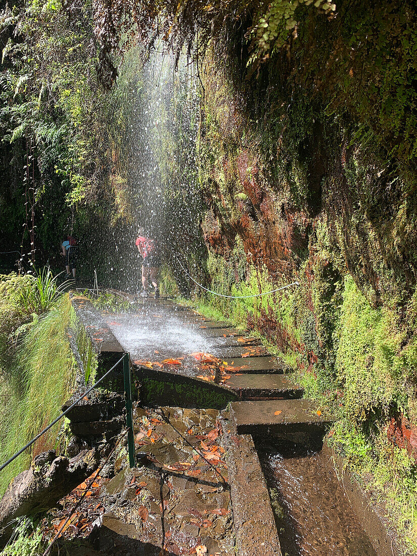  Madeira Levada Hike - Levada de Rei 