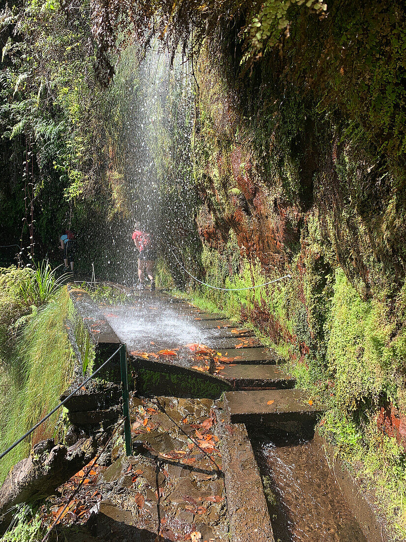 Wanderung an den Levadas, Levada de Rei, Madeira, Portugal, Europa