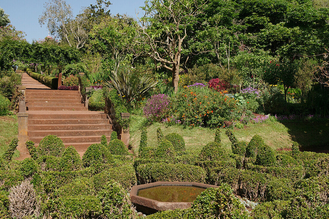 Jardines Palheiro, Formhecken und Treppe, Madeira, Portugal, Europa