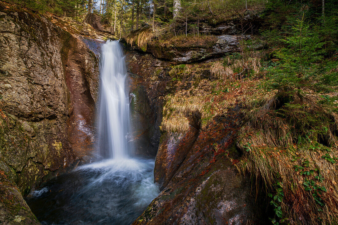  At the Hochfall near Bodenmais, Bavarian Forest, Bavaria, Germany, Europe 