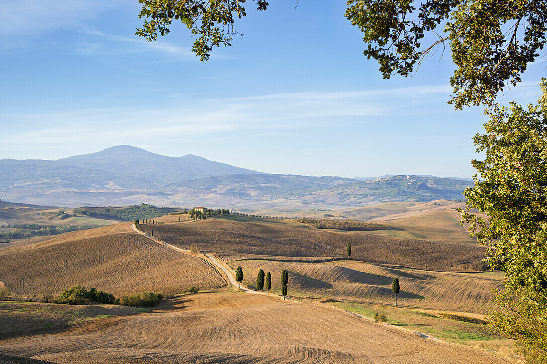 Herbstmorgen in der Nähe von Pienza, Gladiator Foto Spot, Toskana, Italien, Europa