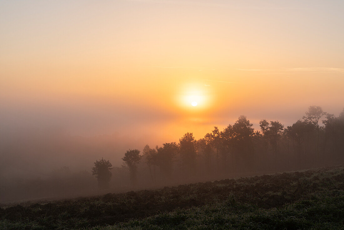 Sonnenaufgang nahe Chiusdino, Provinz Siena, Toskana, Italien    