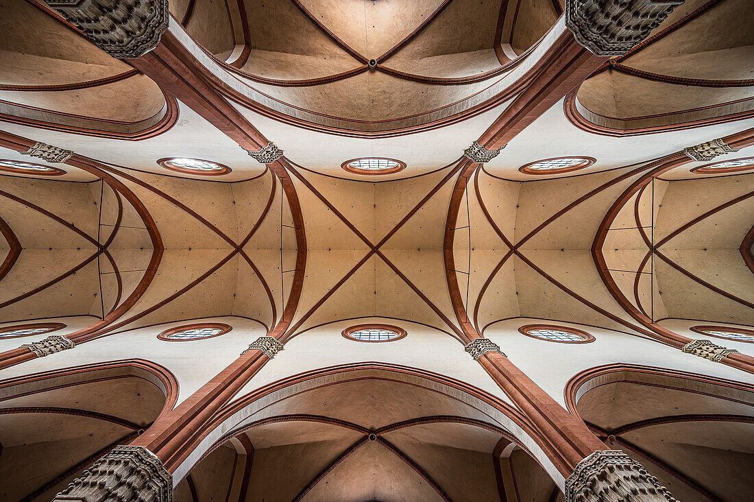  Basilica of San Petronio is the main church of Bologna, Italian university city, Emilia-Romagna region, Italy, Europe 