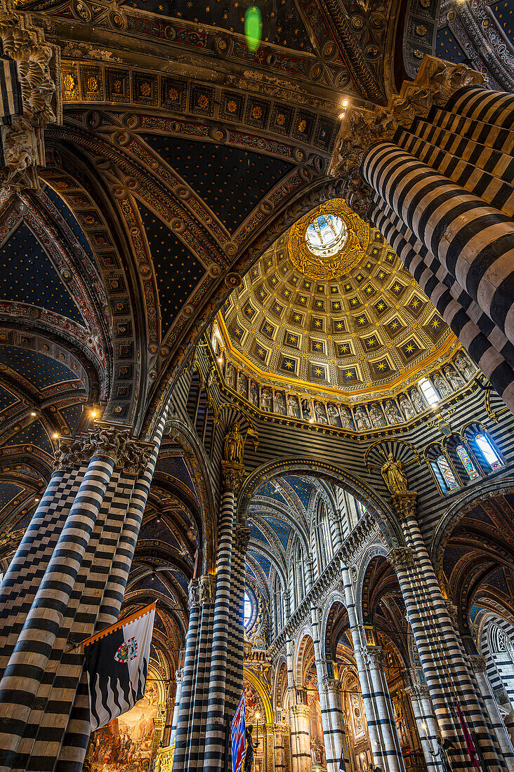 Prunkvoller Innenraum Dom Cattedrale Metropolitana di Santa Maria Assunta, Siena, Region Toskana, Italien, Europa