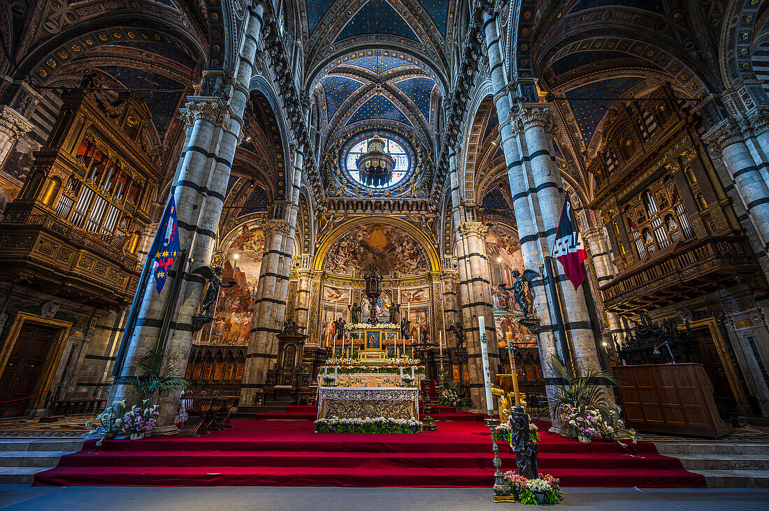  Altar, Cathedral of Santa Maria Assunta from inside, Siena, Tuscany region, Italy, Europe 