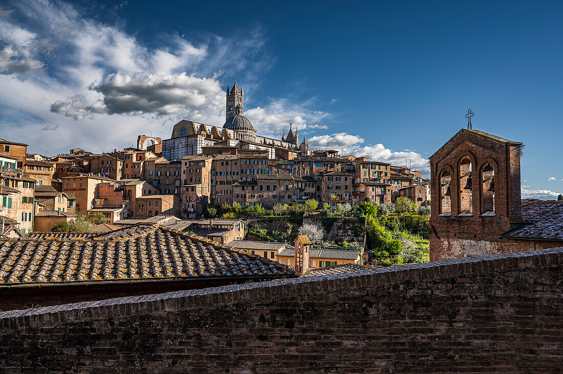 Blick auf die Altstadt, Siena, Region Toskana, Italien, Europa