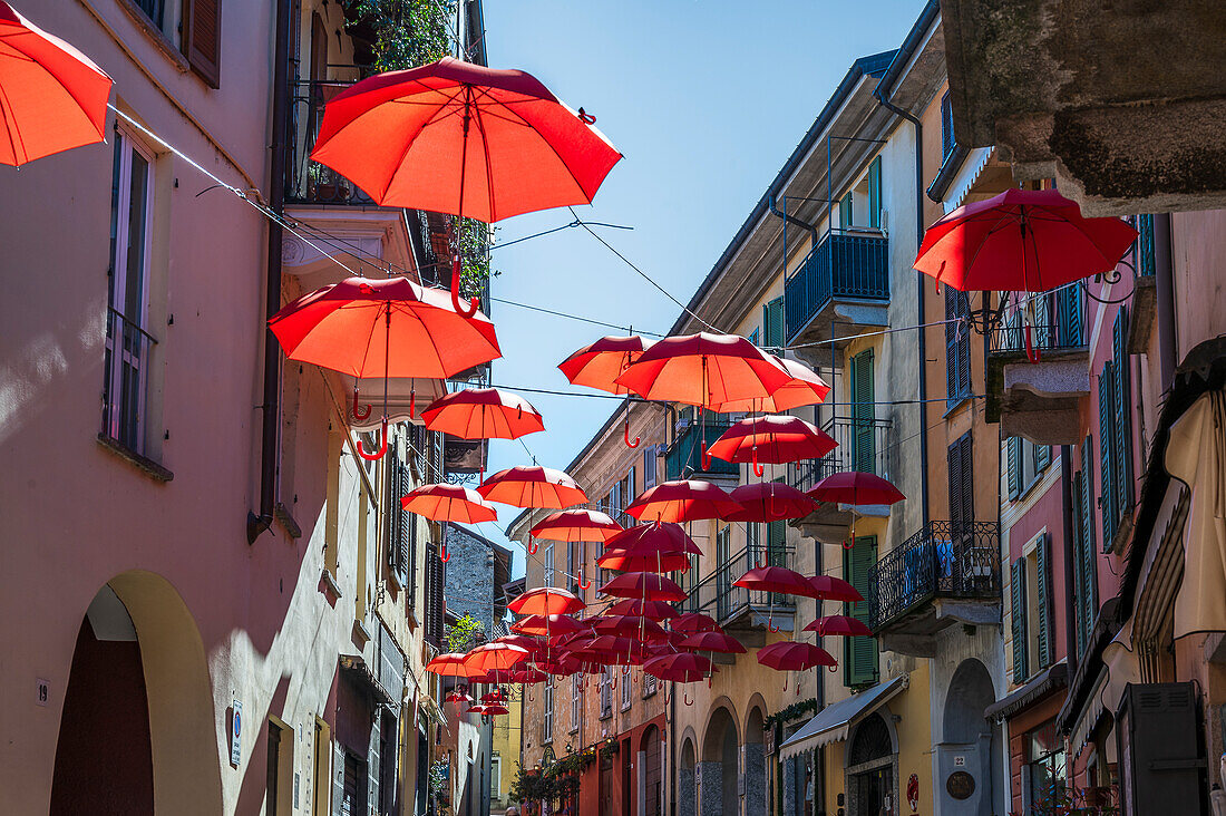  Red umbrellas in the old town of Luino, Varese province, Lake Maggiore, Lombardy, Italy, Europe 