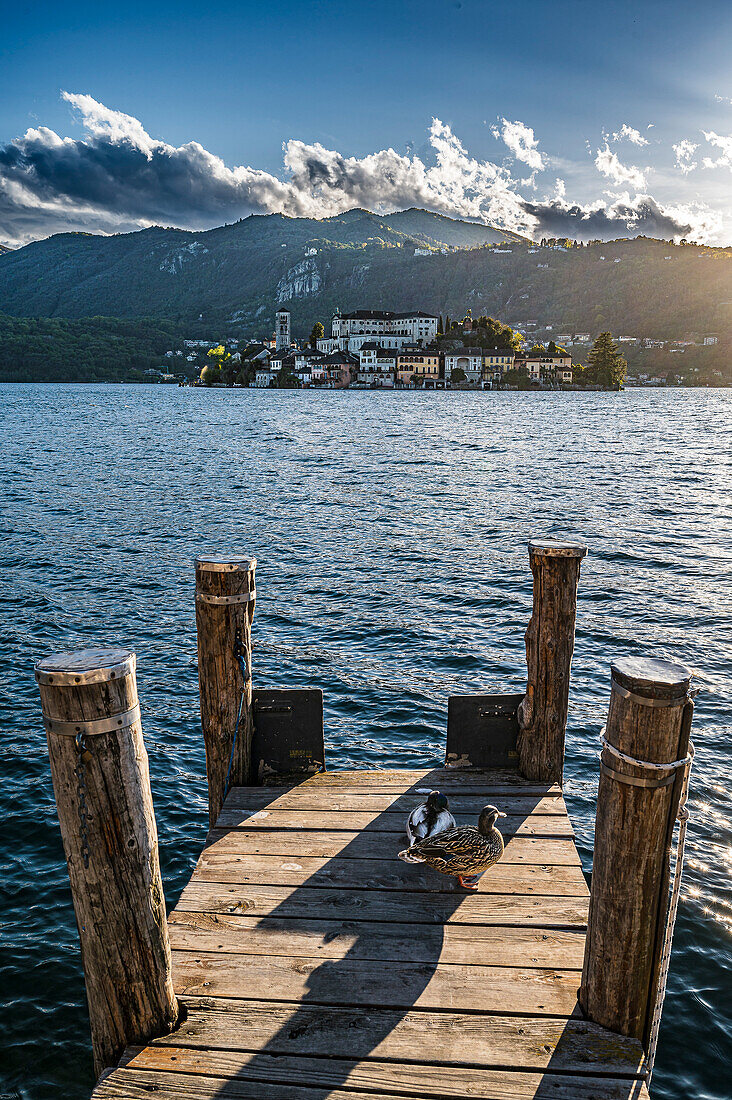  Wooden jetty with ducks, view of Isola San Giulio from the port of Orta San Giulio, Piazza Motta, Orta San Giulio, Lake Orta is a northern Italian lake in the northern Italian, Lago d&#39;Orta, or Cusio, region of Piedmont, Italy, Europe 