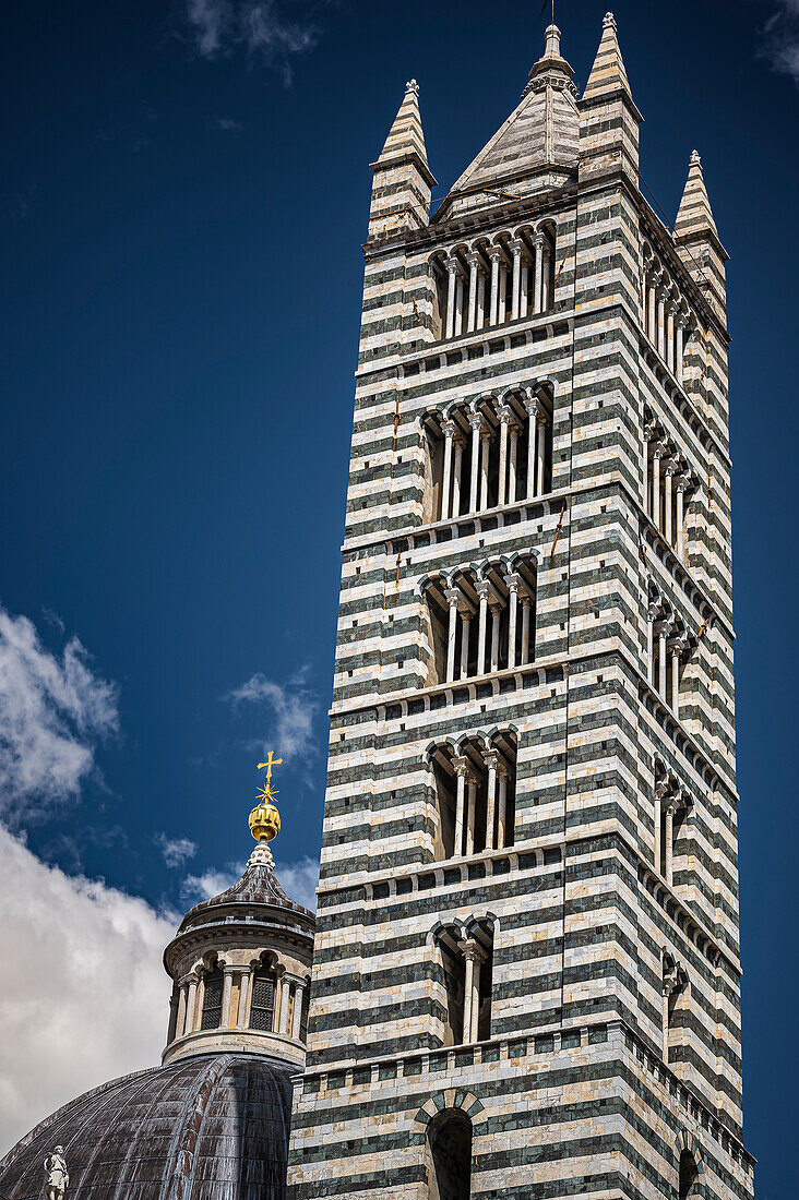  View of tower from the cathedral, Siena, Tuscany region, Italy, Europe 