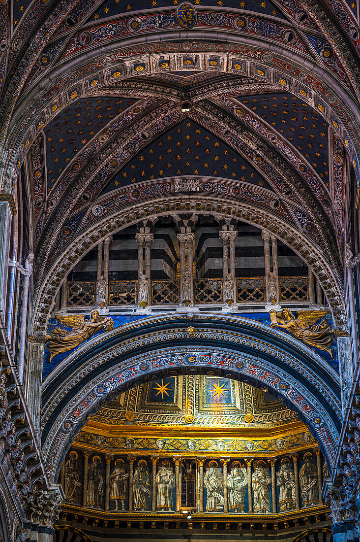 Verzierungen und Bogen im Dom Cattedrale Metropolitana di Santa Maria Assunta, Siena, Region Toskana, Italien, Europa