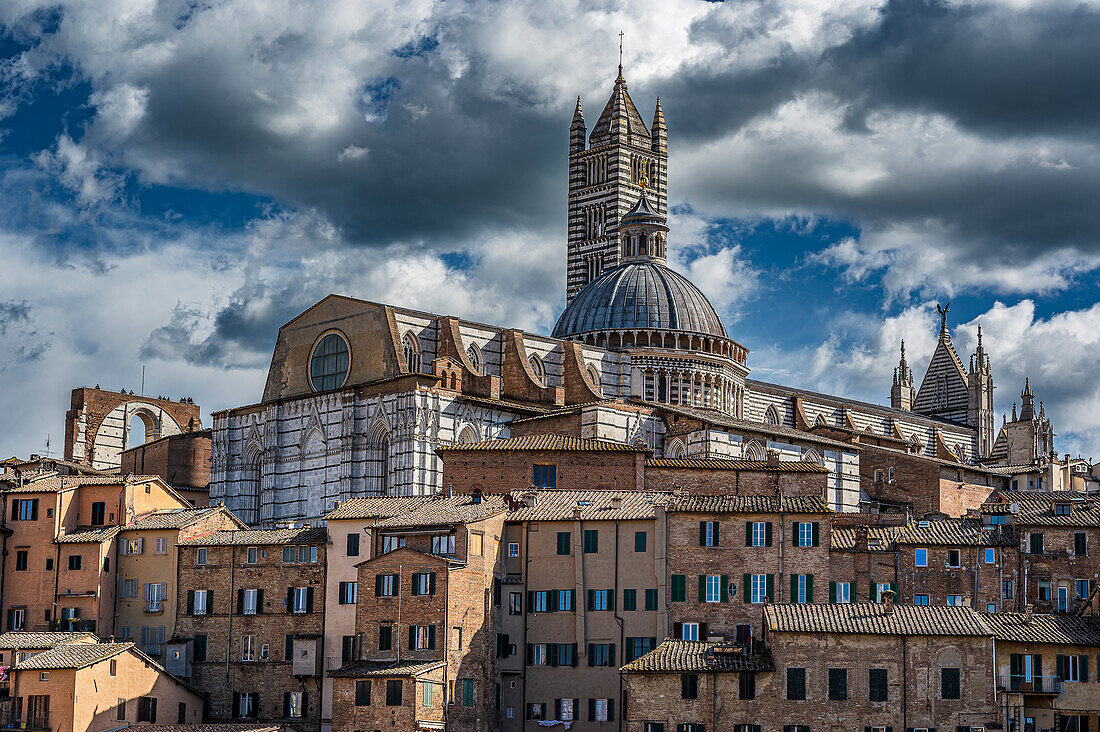  View of old town cathedral with tower, Siena, Tuscany region, Italy, Europe 