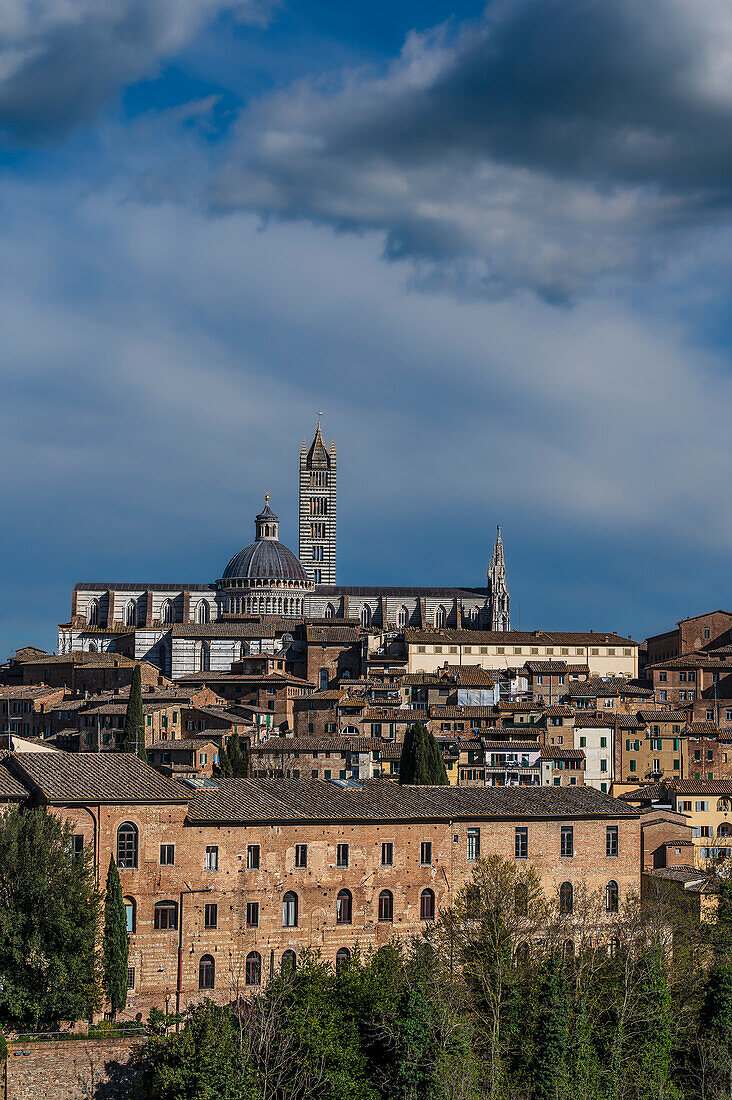 Blick auf Altstadt, Dom mit Turm, Siena, Region Toskana, Italien, Europa