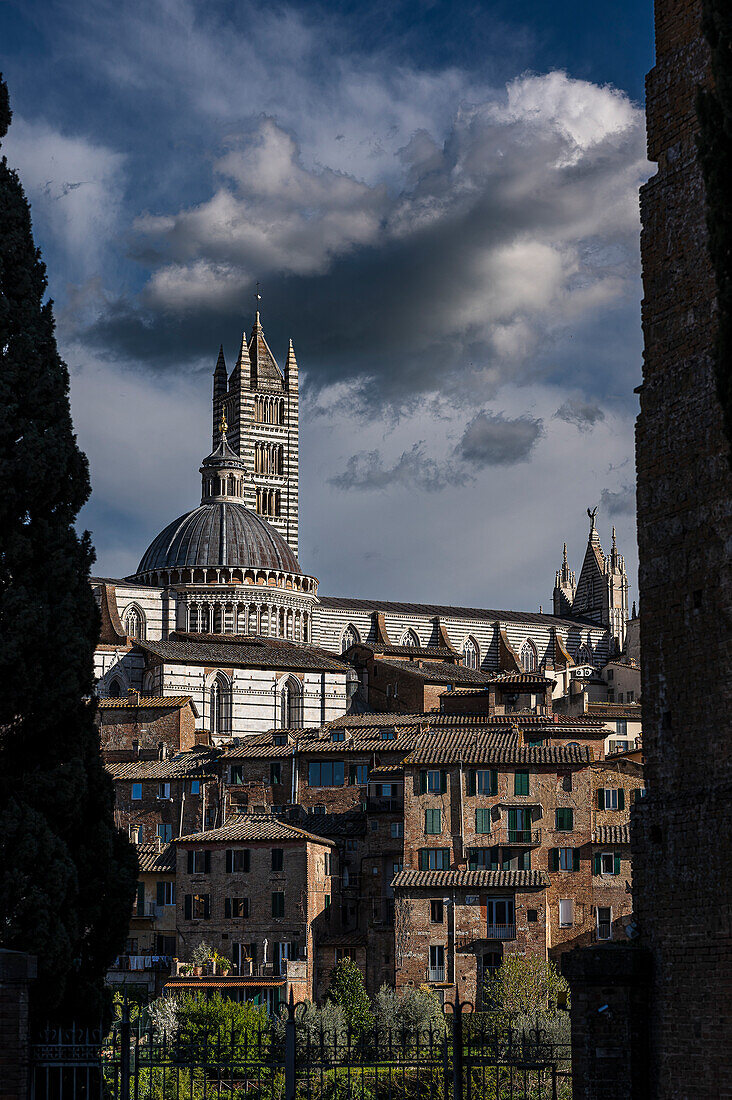  View of old town cathedral with tower, Siena, Tuscany region, Italy, Europe 