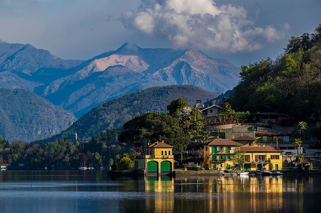 Blick auf den See morgens von dem Strand Lido di Gozzano am Südende, Ortasee Lago d’Orta, Provinz Novara, Region Piemont, Italien