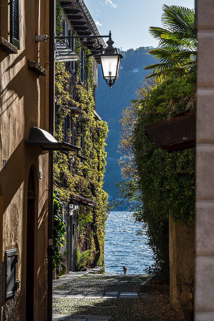 Historischer Palast mit bewachsener Fassade und typische enge Gasse mit Blick auf den See, Gemeinde Orta San Giulio, Ortasee Lago d’Orta, Provinz Novara, Region Piemont, Italien