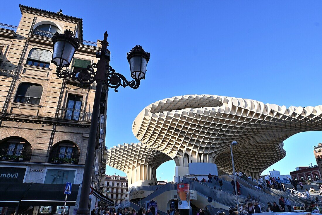  Wooden sculpture Setas de Sevilla, Seville, Andalusia, Spain 