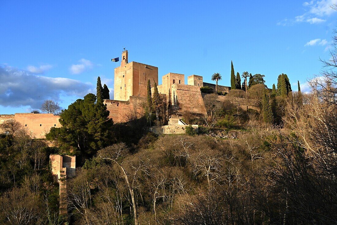  View of the Alcazaba of the Alhambra, Granada, Andalusia, Spain 