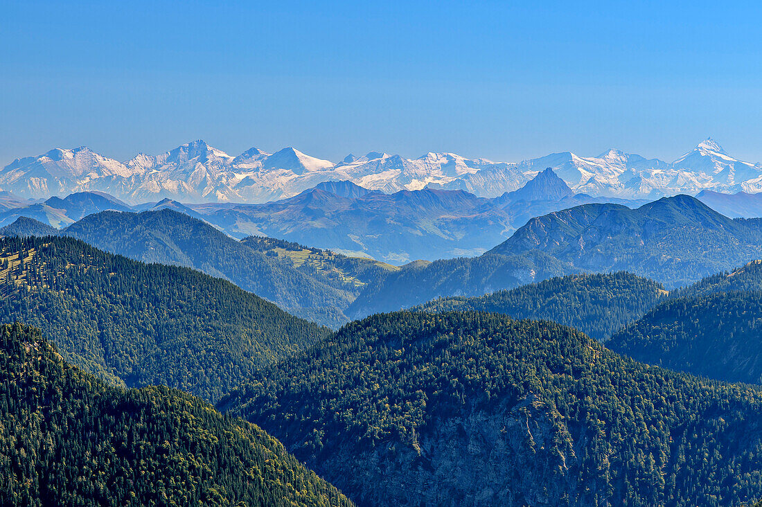 Blick über die bewaldeten Gipfel der Tegernseer Berge auf die Hohen Tauern vom Großen Wiesbachhorn bis zum Großglockner, Hirschberg, Bayerische Alpen, Oberbayern, Bayern, Deutschland