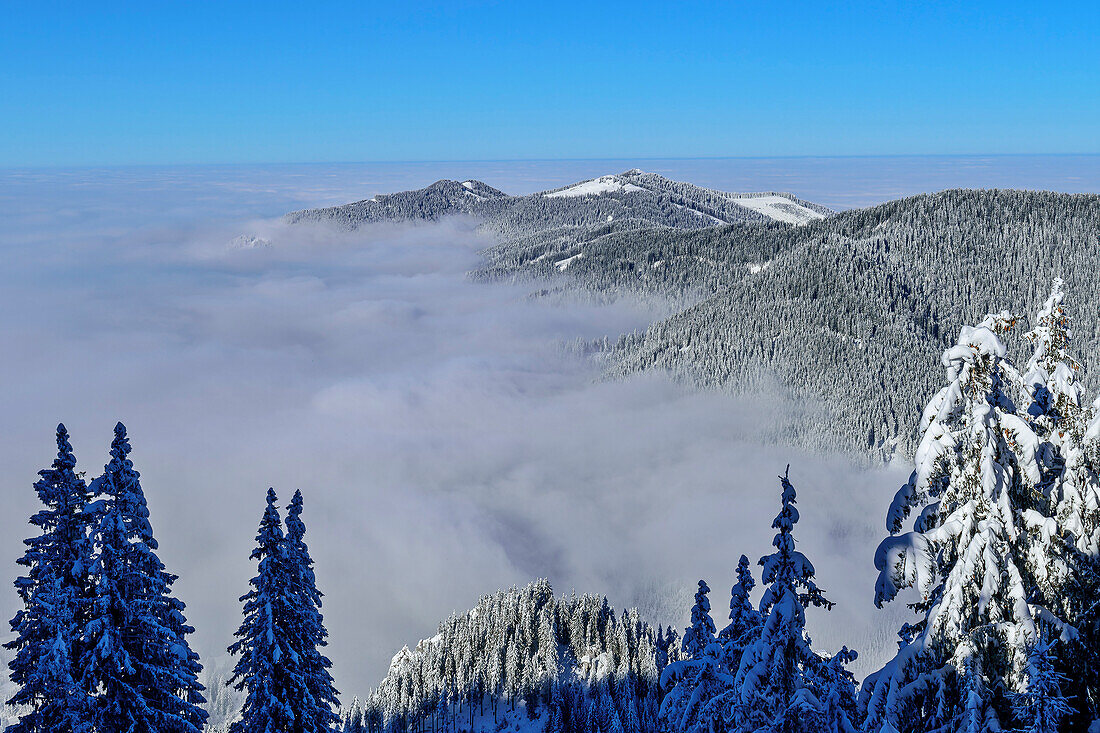 Blick auf die winterlichen Hörnlegipfel, vom Laber, Ammergauer Alpen, Oberbayern, Bayern, Deutschland 