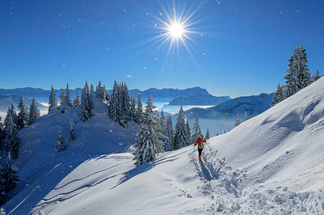  Woman hiking descends from Laber river through winter forest, Laber, Ammergau Alps, Upper Bavaria, Bavaria, Germany  