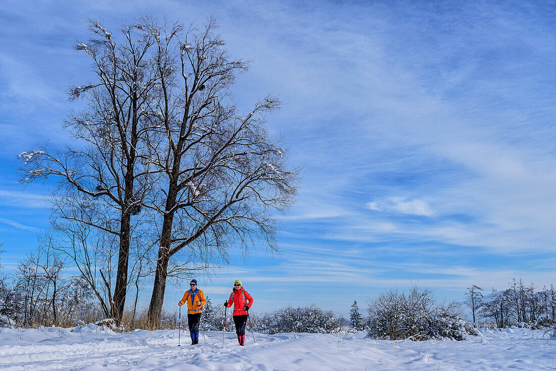  Man and woman hiking through the Murnauer Moos, Murnau, Upper Bavaria, Bavaria, Germany  