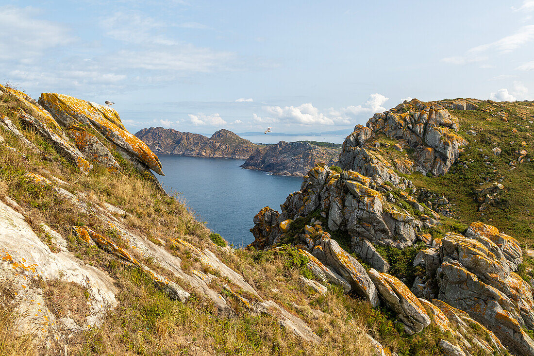 Nach Westen ausgerichtete steile Klippen, Blick nach Norden von der Isla del Faro, Cies-Inseln, Nationalpark Islas Atlánticas de Galicia, Galicien, Spanien