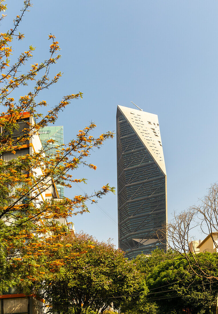 Torre Reforma high-rise tower block skyscraper building, Avenue Paseo de la Reforma, Mexico City, Mexico