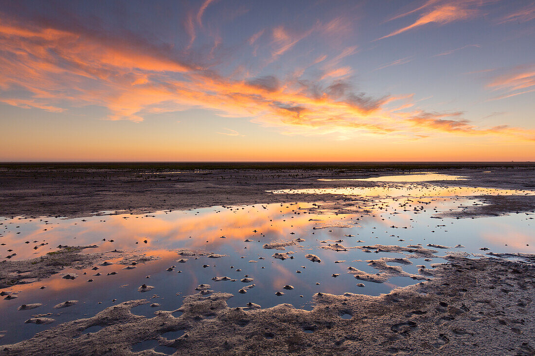  Evening atmosphere in the mudflats, Wadden Sea National Park, North Friesland, Schleswig-Holstein, Germany 