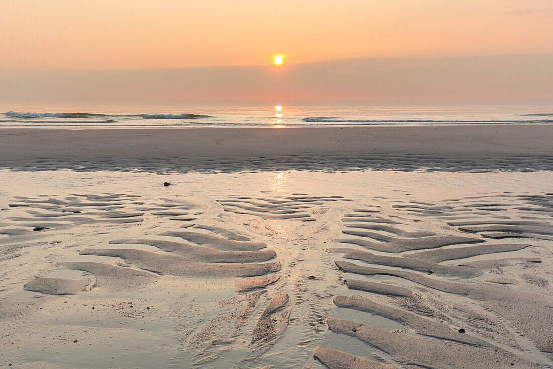  Evening atmosphere in the mudflats, Wadden Sea National Park, North Friesland, Schleswig-Holstein, Germany 